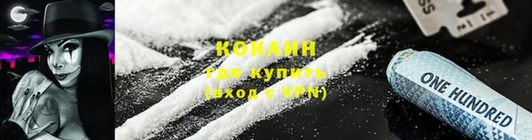 PSILOCYBIN Кукмор
