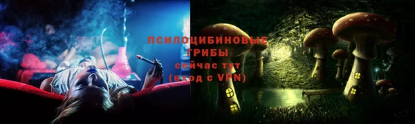 PSILOCYBIN Кукмор
