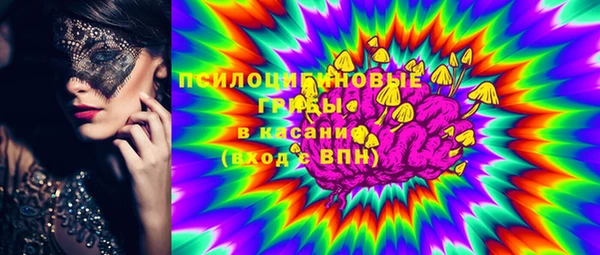 PSILOCYBIN Кукмор