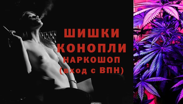 PSILOCYBIN Кукмор
