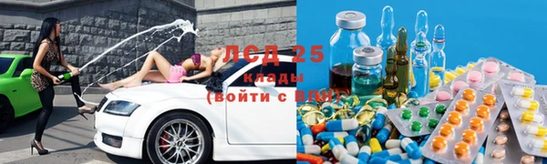 PSILOCYBIN Кукмор