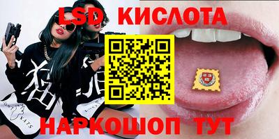 амф Гусев