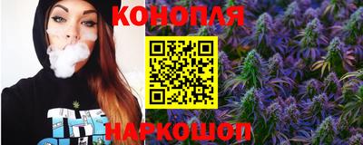 Альфа ПВП Бийск