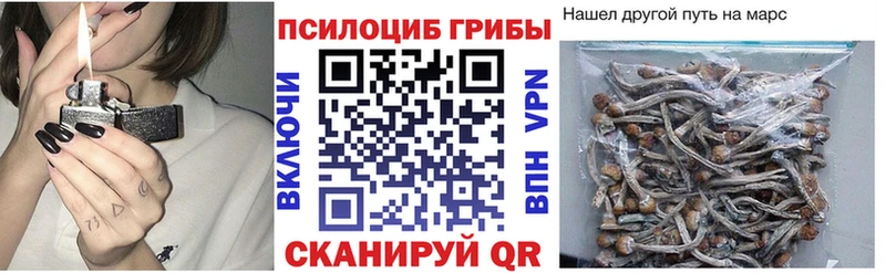 Псилоцибиновые грибы Psilocybine cubensis  Уварово 