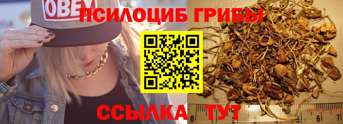 Галлюциногенные грибы ЛСД  Галлюциногенные грибы MAGIC MUSHROOMS  Уварово  Вход с VPN 