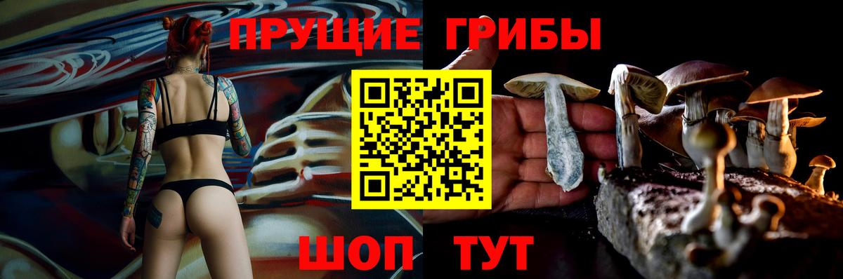 Галлюциногенные грибы прущие грибы Уварово